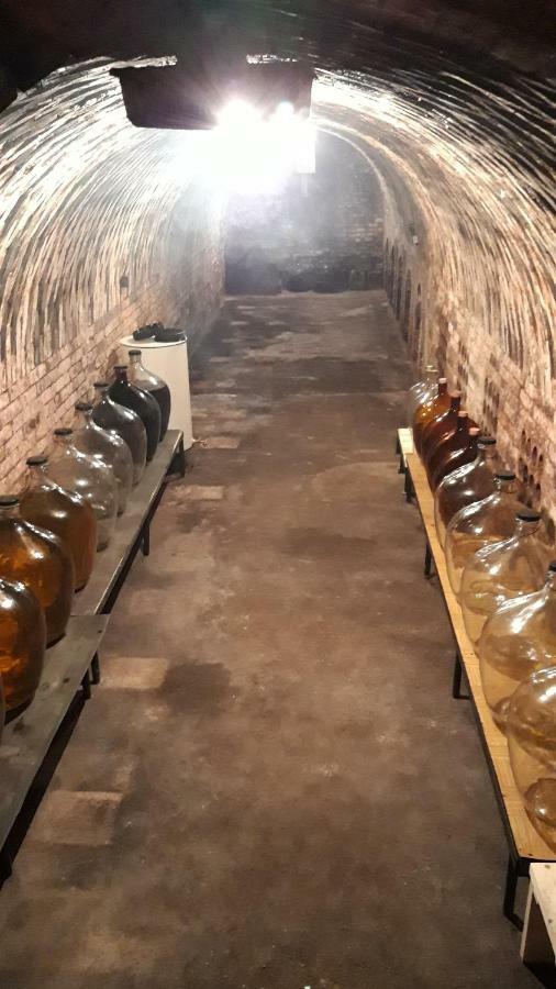 Penzion Na Vyhlidce Cejkovice  Zewnętrze zdjęcie